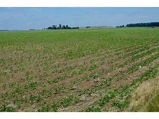 Property photo 144 - LAND AUCTION - 700+/- ACRES OFFERED IN 16 TRACTS IN ALLEN COUNTY, INDIANA